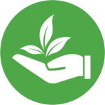 Cam kết về thân thiện với môi trường